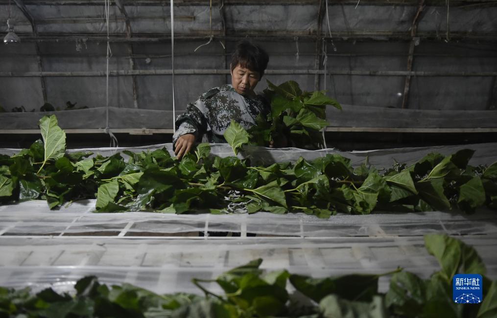 辉煌快速登录